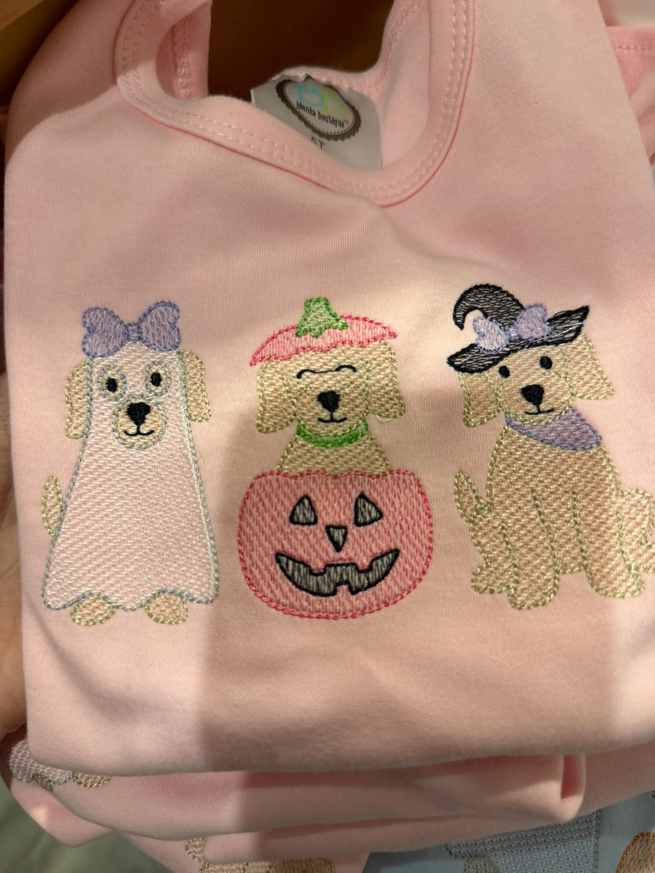 Little Girl Halloween Embroidered Dress