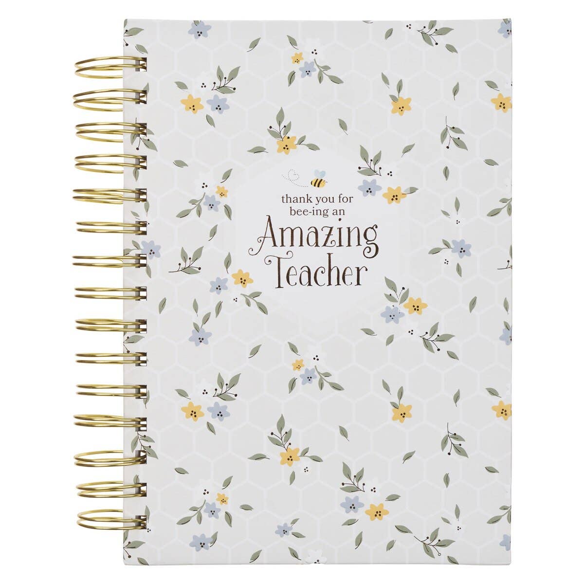 Journal Spiral-bound Amazing Teacher