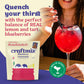 Blueberry Lemonade & Cocktail Mixer - Single