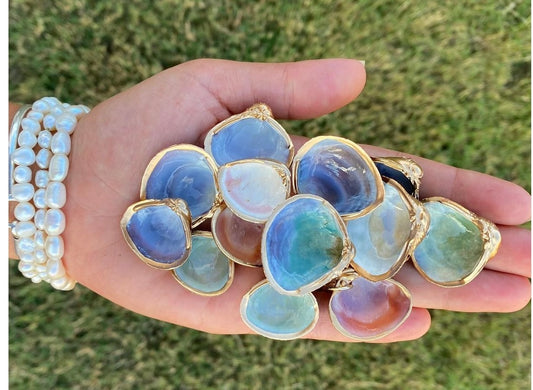 Shuck & Shine Designs